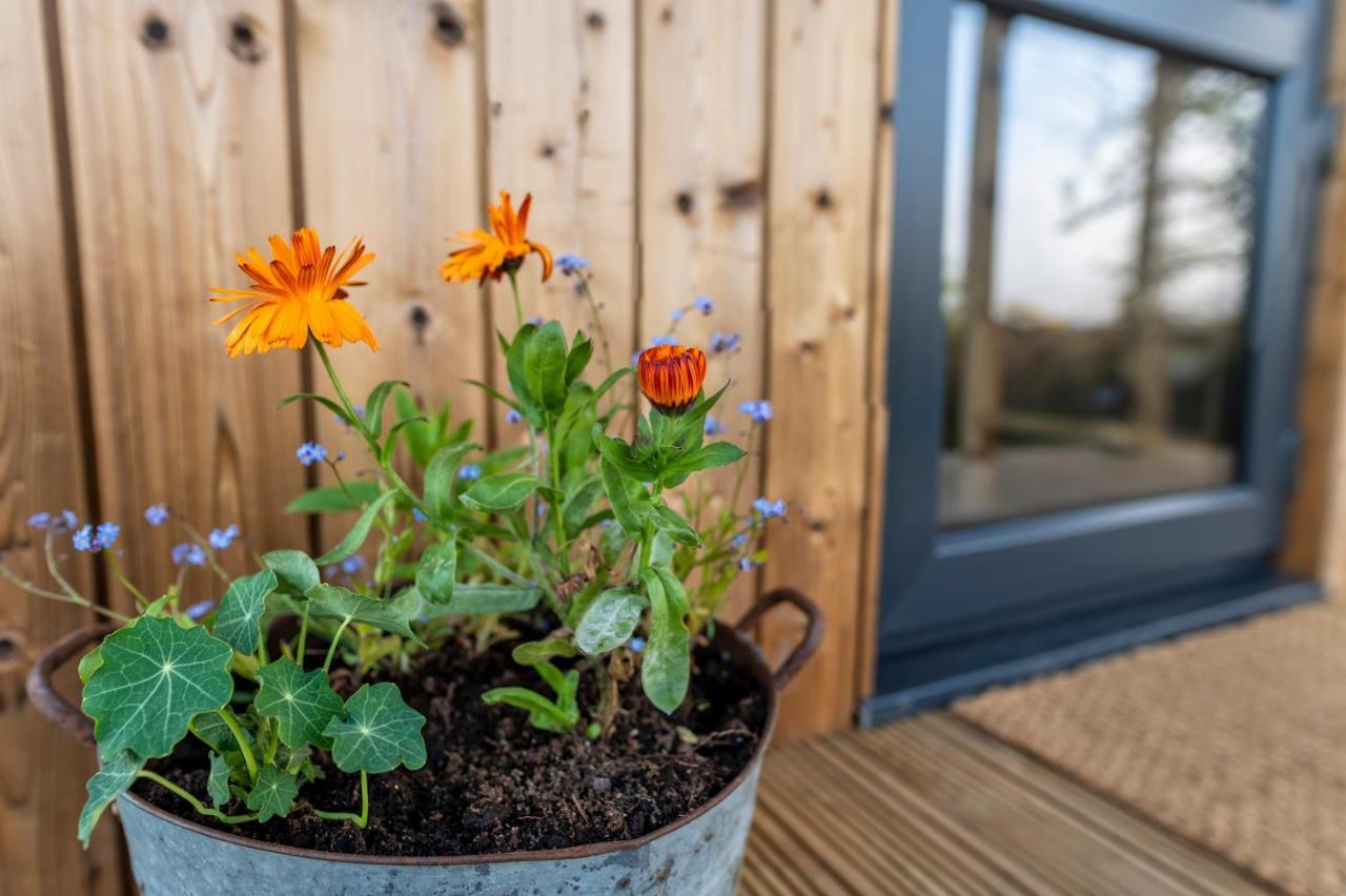 Luxury Glamping Cabin With Outdoor Bath On Cornish Flower Farm ทรูโร ภายนอก รูปภาพ
